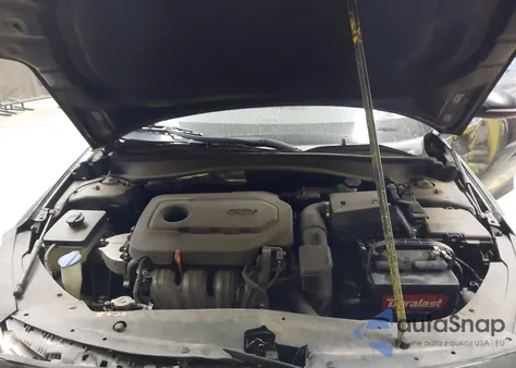 2019 Kia Optima Lx z USA, uszkodzony, nr VIN 5XXGT4L31KG275168